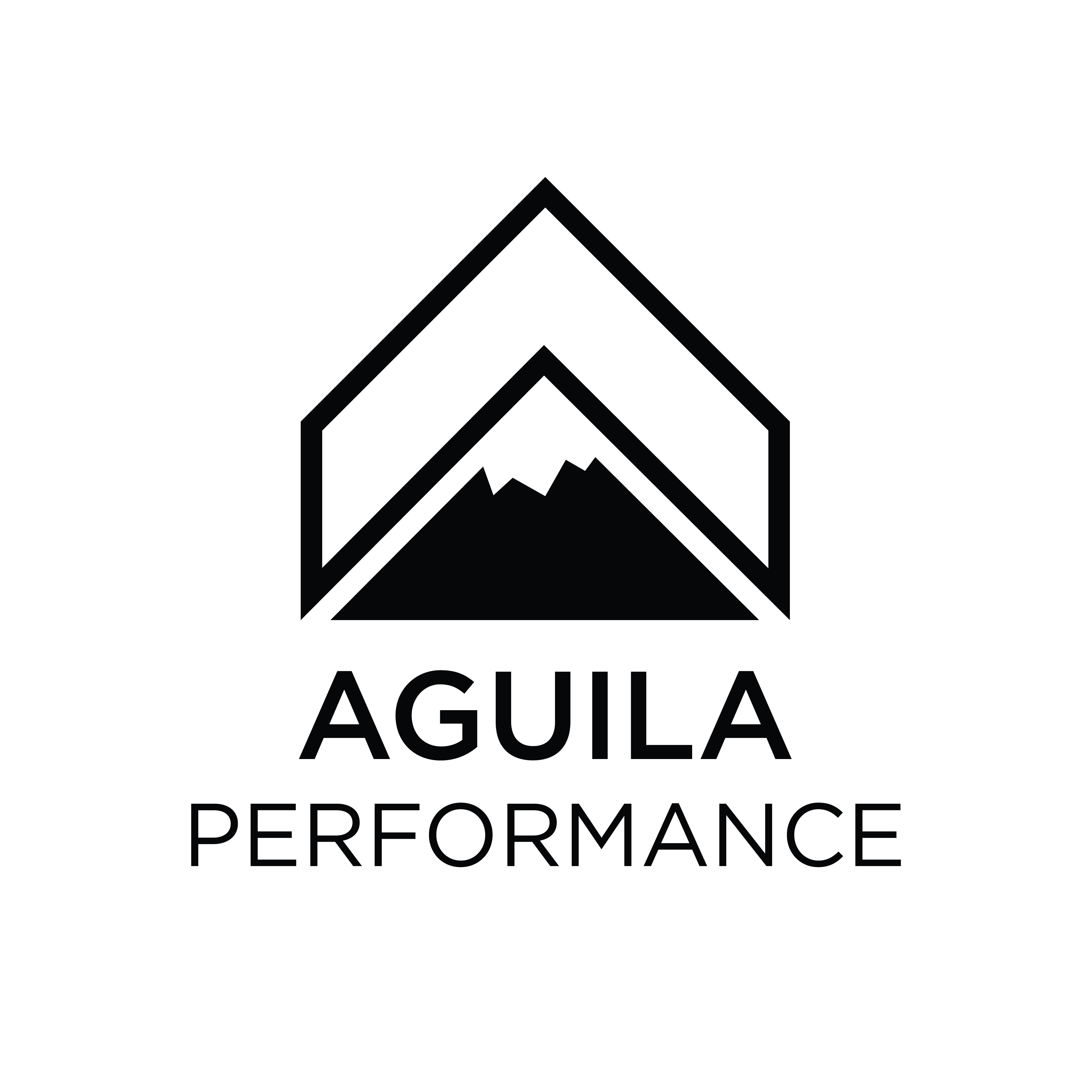 Home Aguila Performance